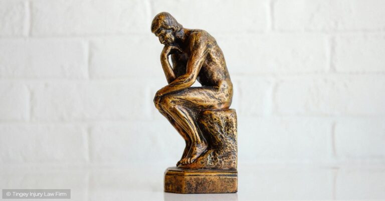 »Cogito, ergo sum«